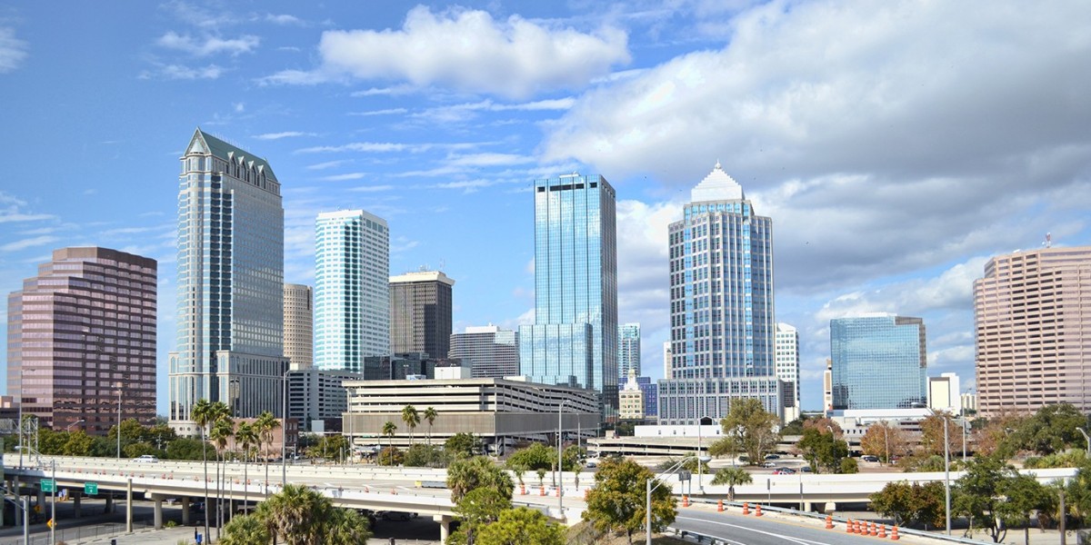 Building Wealth Through Collaboration: The Rise of the Tampa Real Estate Investors Alliance