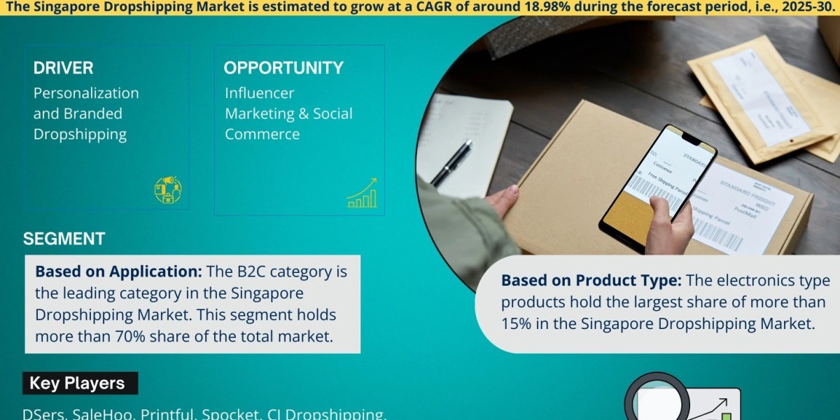 Singapore Dropshipping Industry Share, Demand, and Future Forecast - 2030