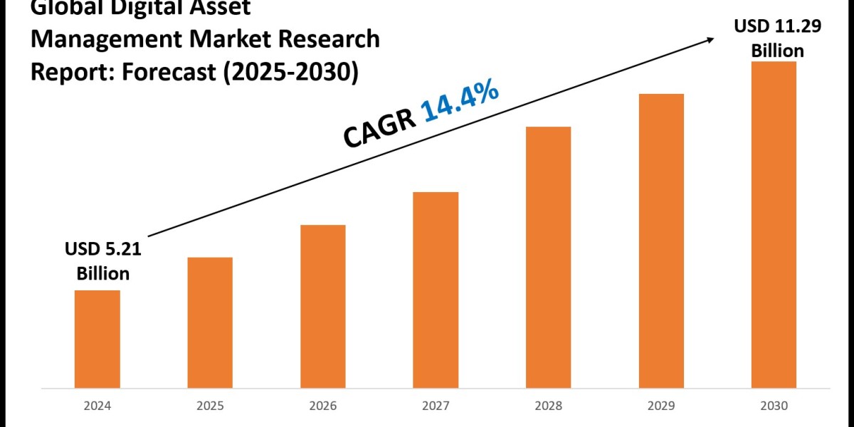 Digital Asset Management Market Size & Share 2030 Key Trends & Projections