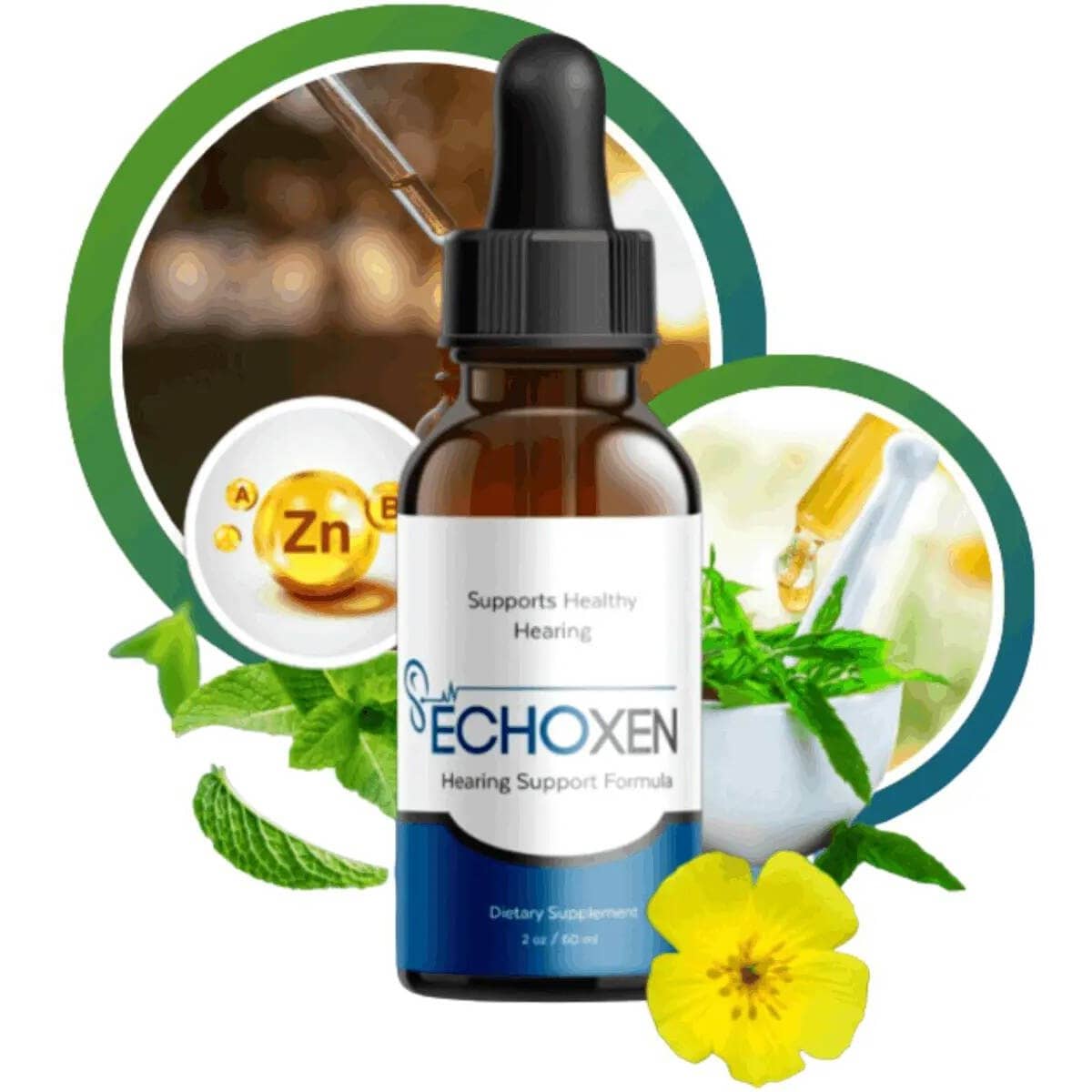 Echoxen Results (@echoxen_results) / Passes