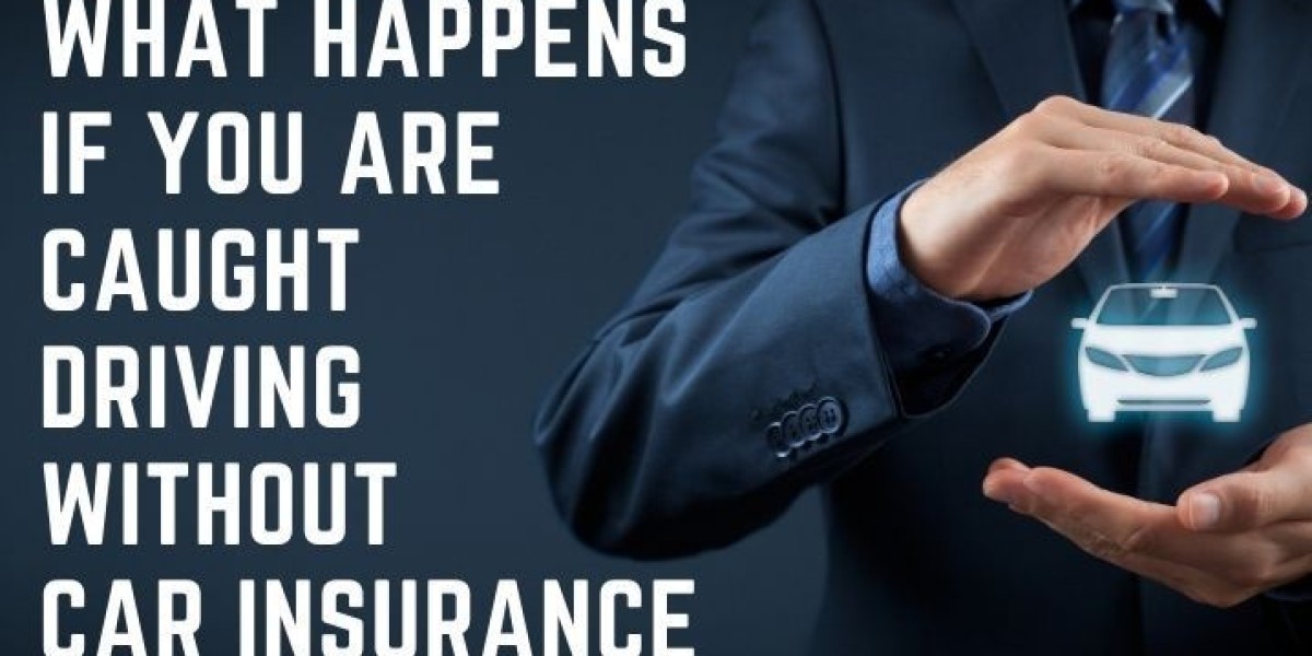 The Accidental Offence: A Driver's Guide to Avoiding the Insurance Traps