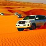 Dubai desert safari Profile Picture